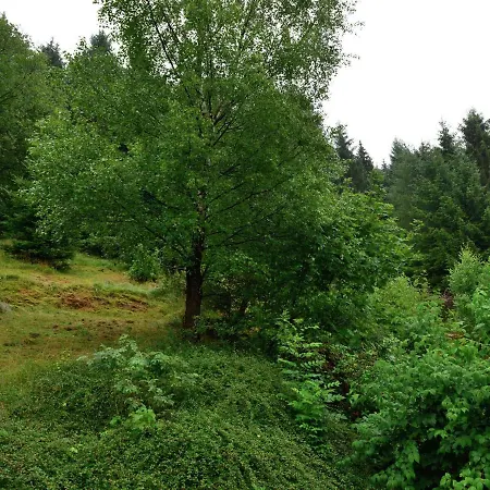 Apartment Near Willingen With Private Terrace