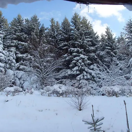 Near Willingen With Private Terrace *