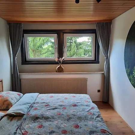 Near Willingen With Private Terrace * Willingen (Upland)