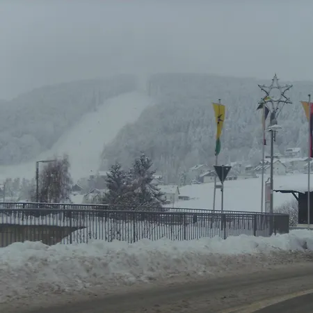 Near Willingen With Private Terrace Apartment
