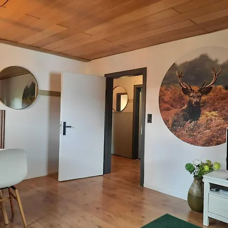 Near Willingen With Private Terrace * Willingen (Upland)