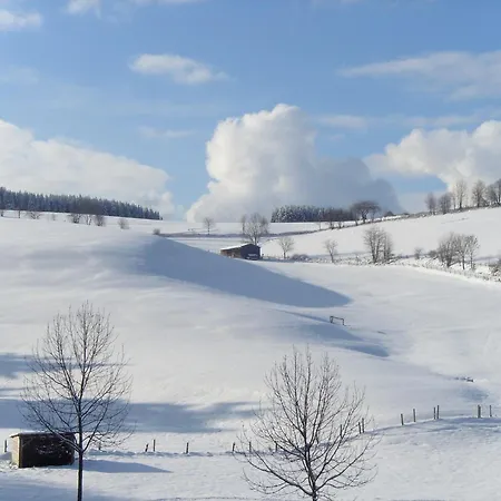 Near Willingen With Private Terrace Willingen (Upland)