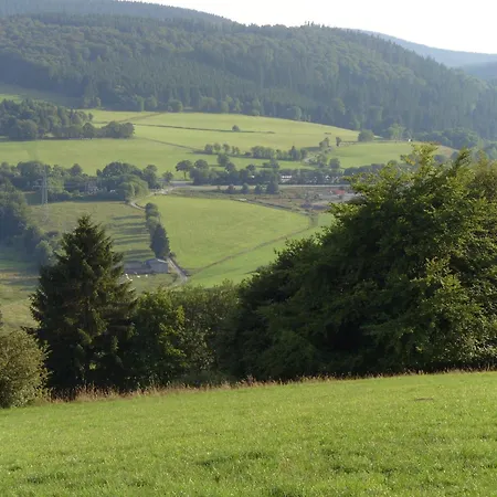 Near Willingen With Private Terrace Willingen (Upland)