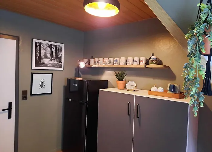 Bei Fuer Wintersport Lejlighed Willingen (Upland)