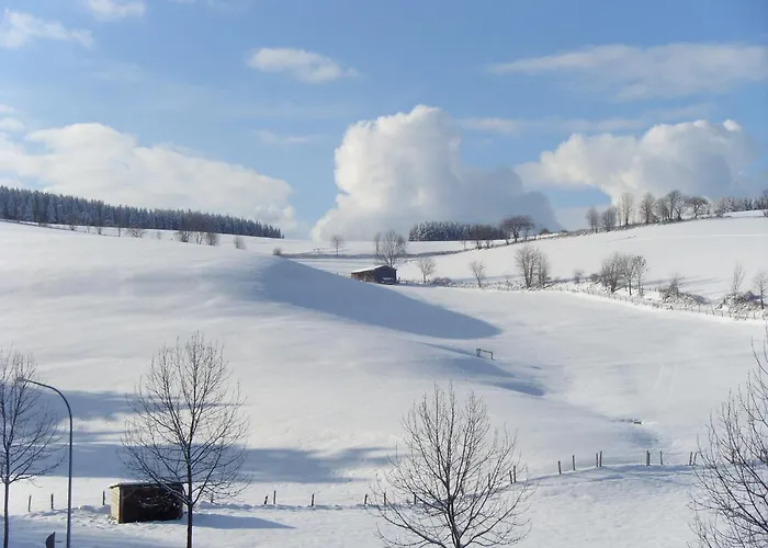 Bei Fuer Wintersport Willingen (Upland)